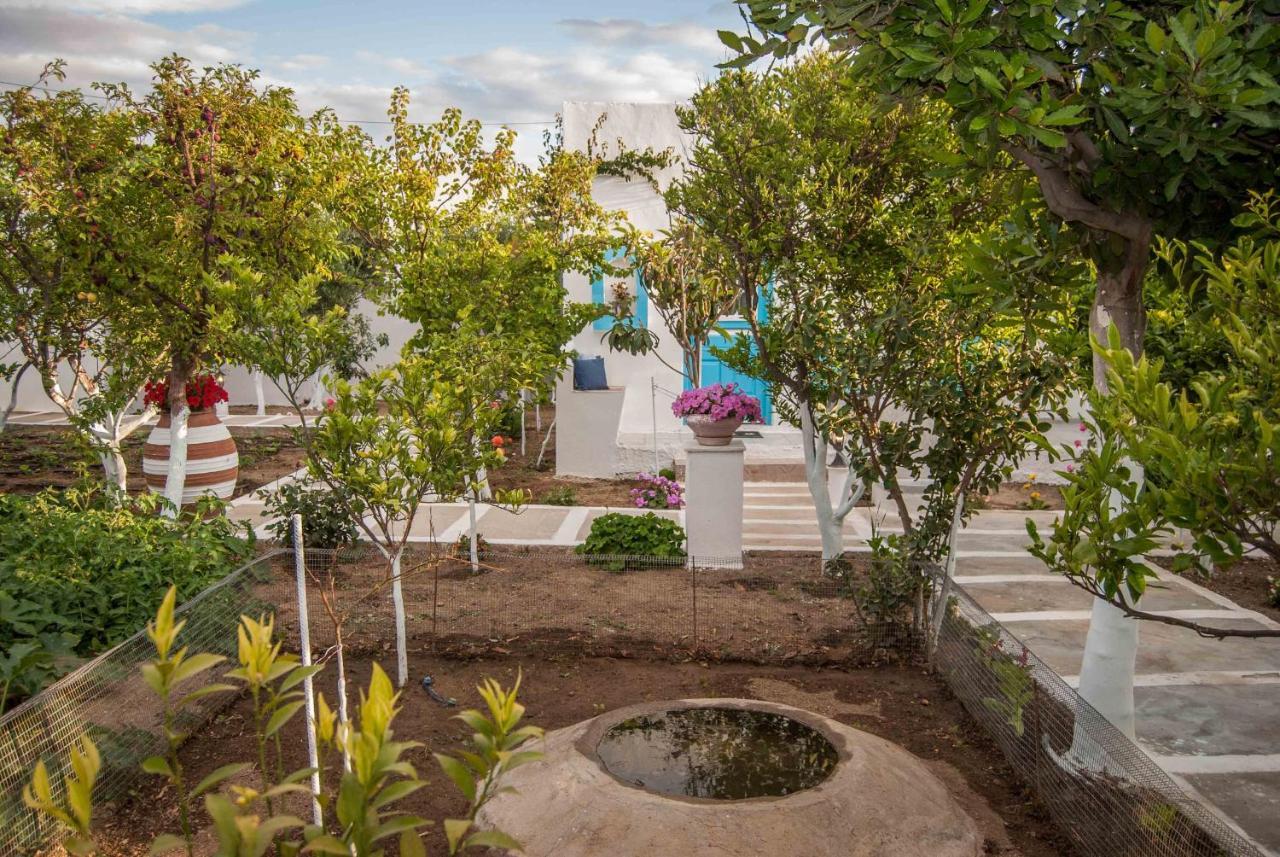 Apartamento Perivoli 4-Chora Agkidia Exterior foto