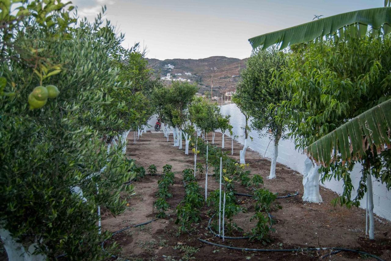 Apartamento Perivoli 4-Chora Agkidia Exterior foto